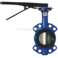 Ductile Iron Concentric Butterfly Valve